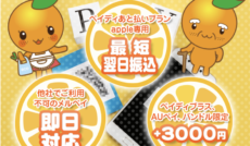 オレンジチケット 393 オレンジチケット