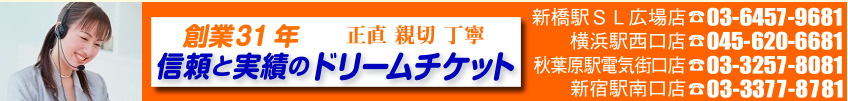 秋葉原のクレジットカード現金化優良店|即日入金・来店不要のネット型優良業者も紹介 119 ドリームチケット